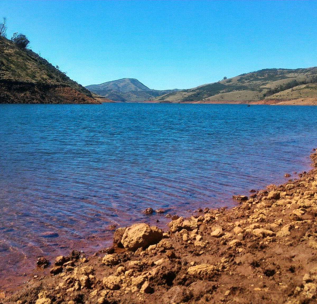 Coimbatore to Avalanche Safari  Ooty Tour Packages