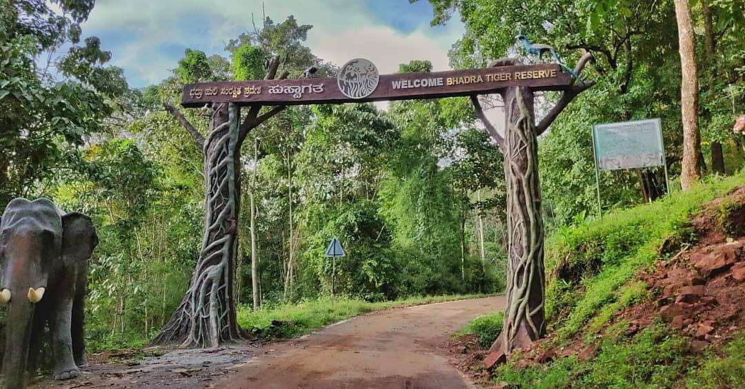 Coimbatore to  Bhadra Tiger Reserve Safari(Govt) Chikmagalur Tour Packages