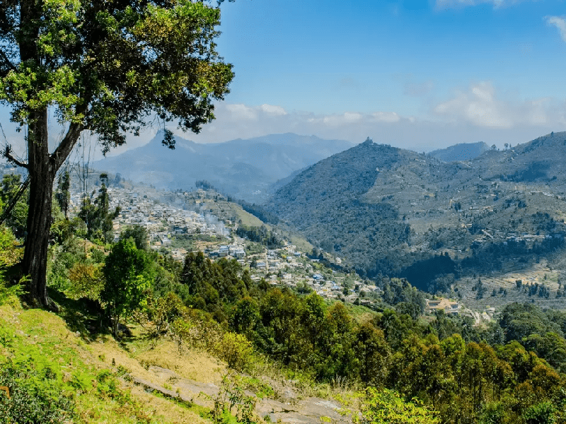 Coimbatore to Piller Rock View Point Kodaikanal Tour Packages
