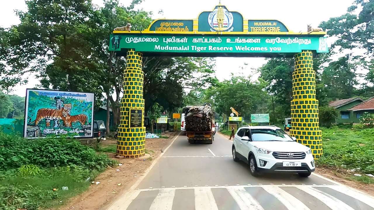 Coimbatore to Forest Highway Ride  Ooty Tour Packages