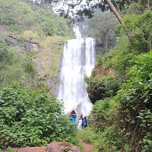 Coimbatore to  Jahari Waterfalls(off road jeep safari) Chikmagalur Tour Packages