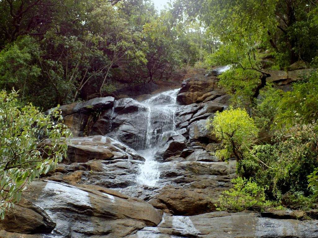 Coimbatore to Kiliyur Falls  Yercaud Tour Packages