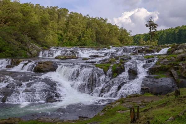 Coimbatore to Pykara Waterfalls  Ooty Tour Packages