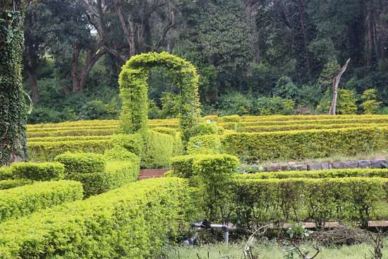 Coimbatore to  Rose Garden  Yercaud Tour Packages