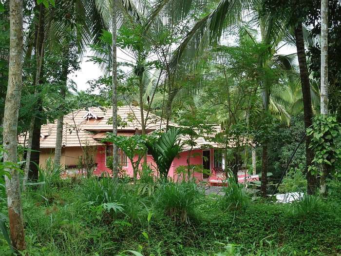 Coimbatore to Spice Garden Wayanad Tour Packages