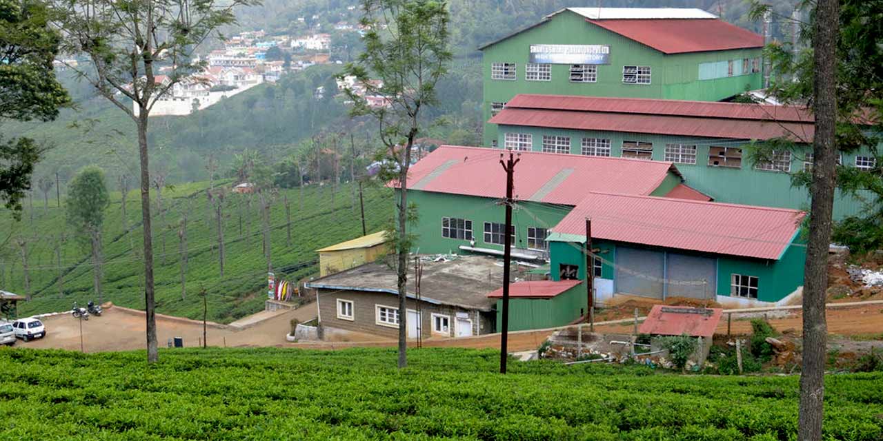 Coimbatore to Tea Factory  Ooty Tour Packages