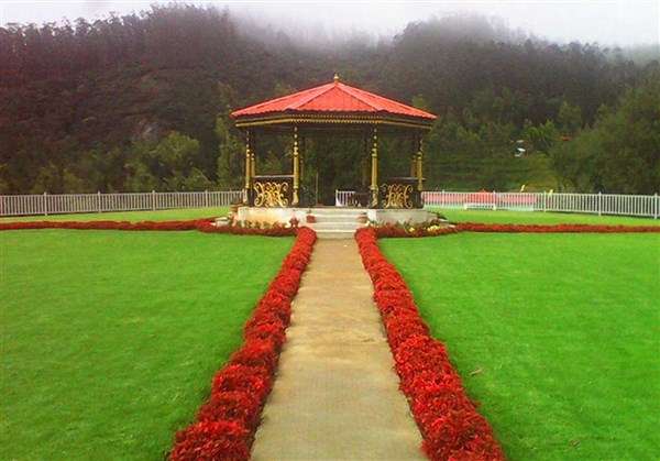 Coimbatore to Tea Park Ooty Tour Packages 