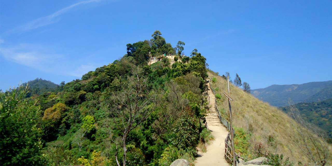 Coimbatore to Top Station Munnar Tour Packages