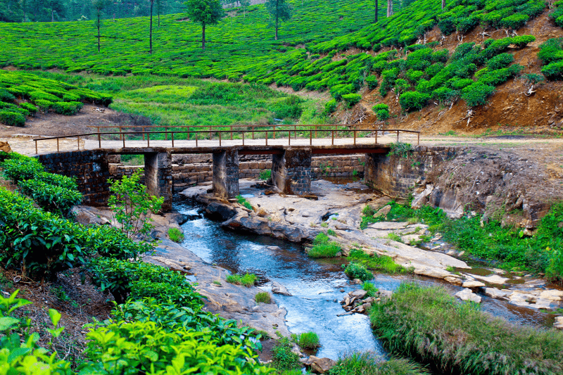 Coimbatore to Vellamalai Tunnel  Valpari Tour Packages