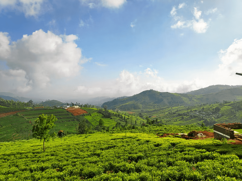 Coimbatore to Doddabetta Peak Ooty Tour Packages