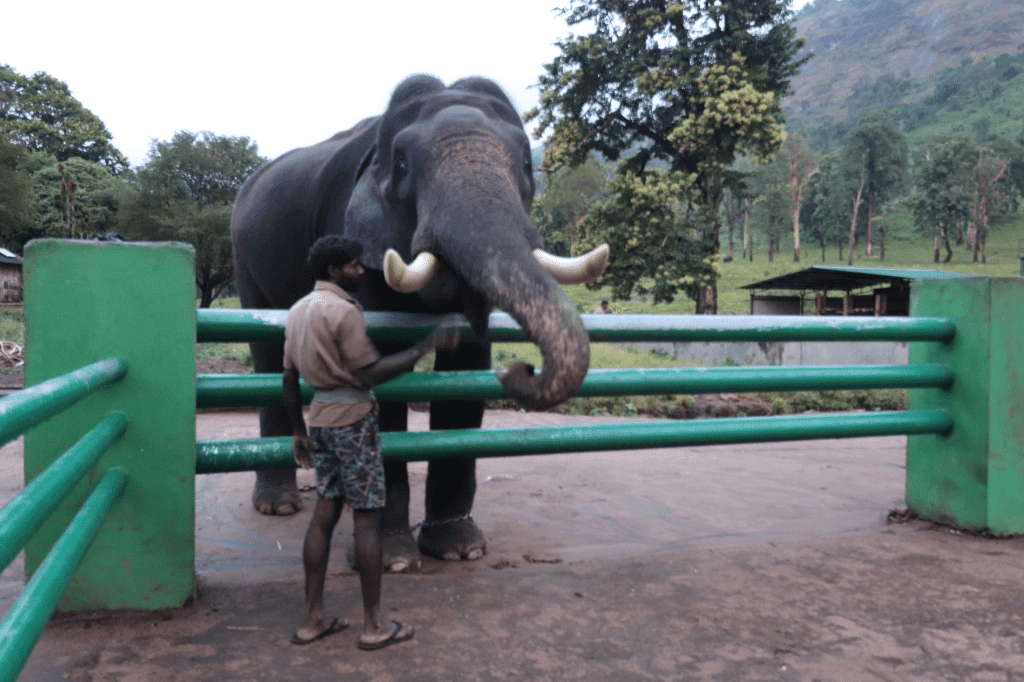 Coimbatore to Top Slip Tour Packages