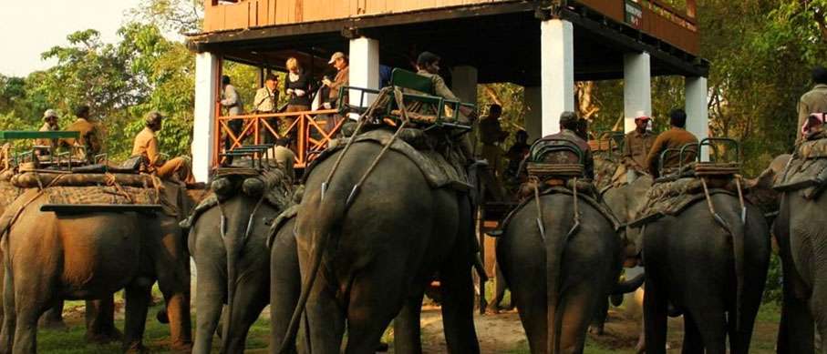 Coimbatore to Elephant Park, Thekkady Tour Packages