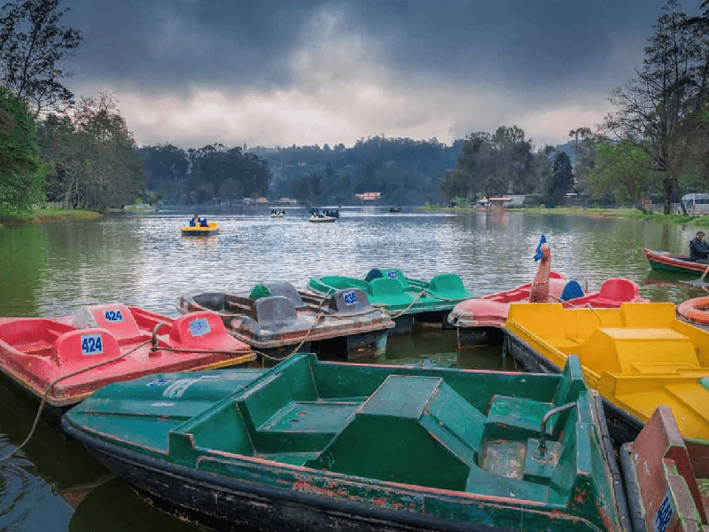 Coimbatore to Kodai lake & boat house Kodaikanal Tour Packages