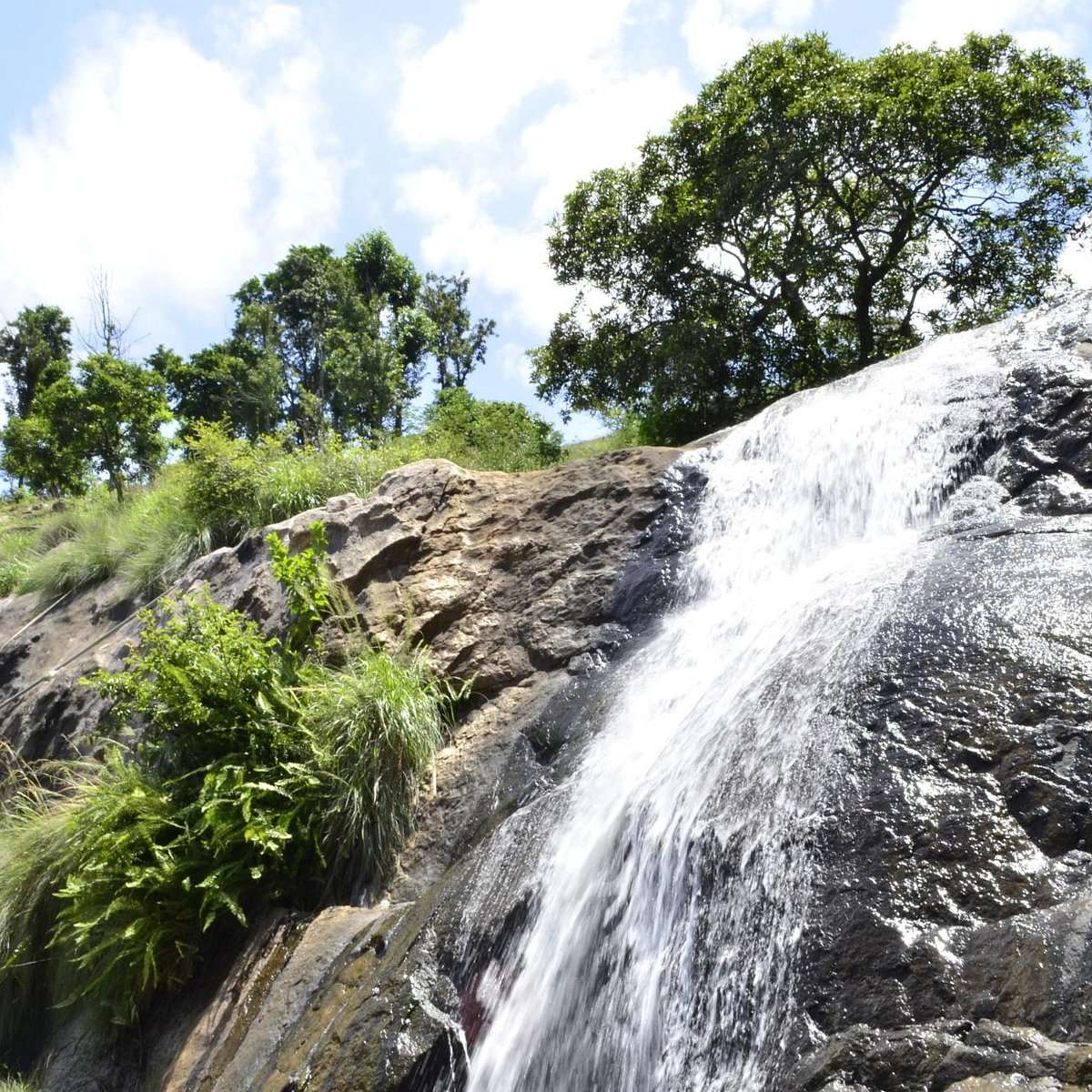 Coimbatore to Maasila Falls Kollihills Tour Packages