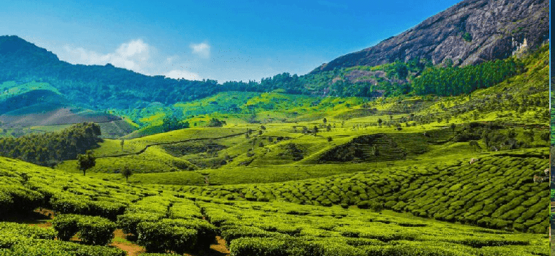 Coimbatore to Munnar Tour Packages