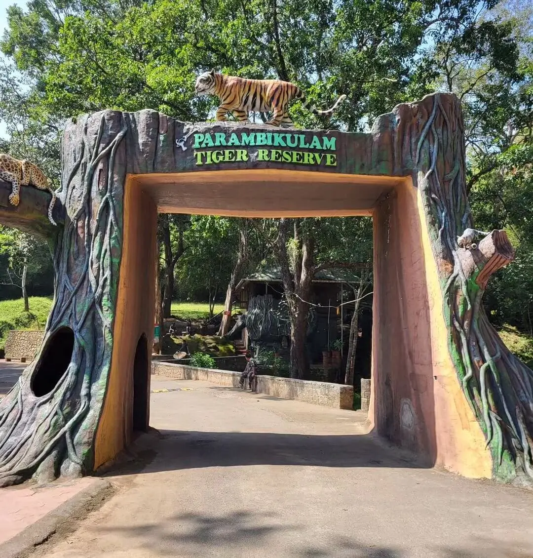 Coimbatore to Parambikulam Safari(Government) Topslip Tour Packages