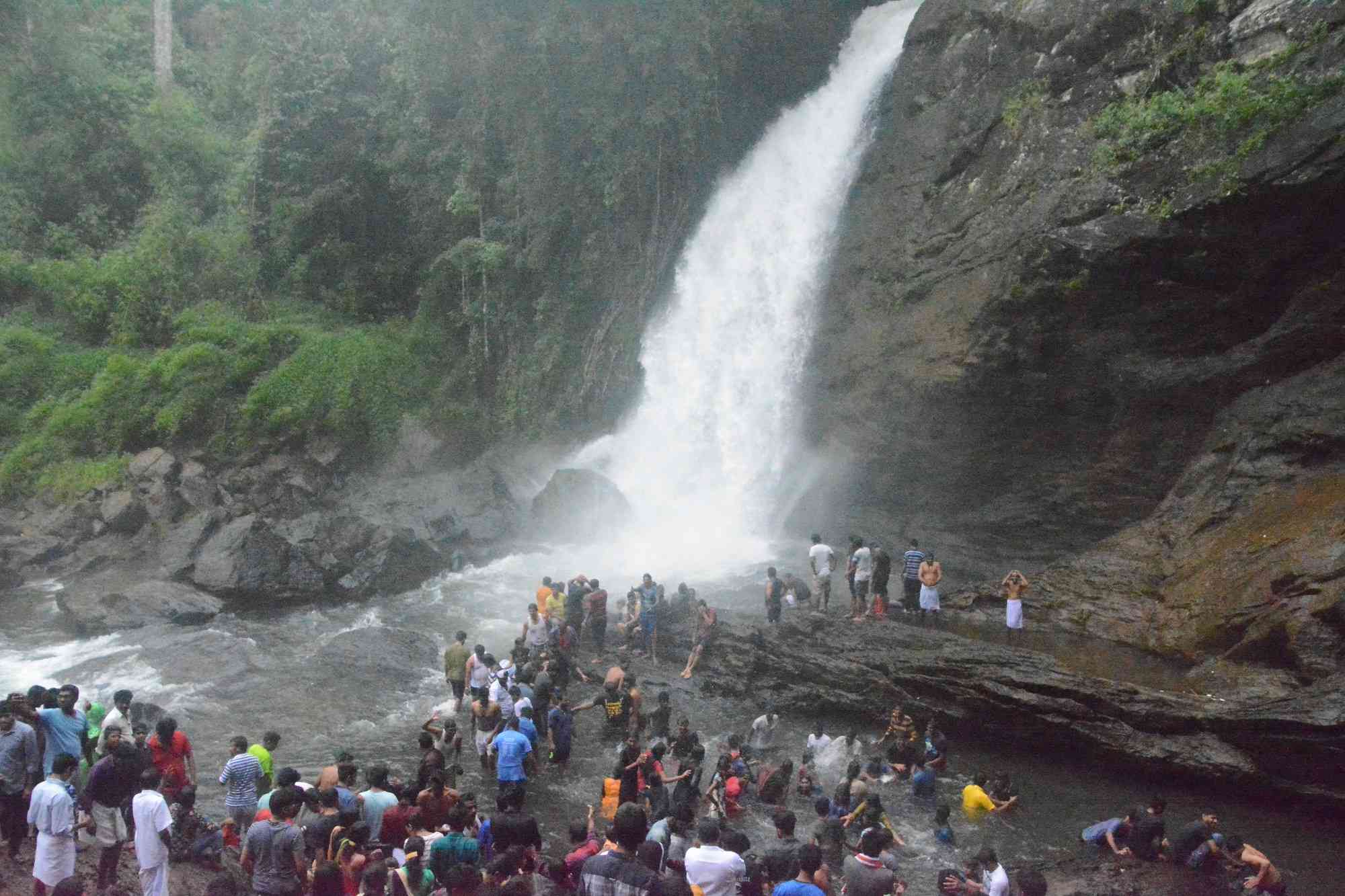 Coimbatore to Soochipara Waterfalls Wayanad Tour Packages