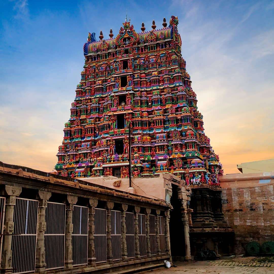 Coimbatore to Arulmigu Nellaiyappar Temple (Tirunelveli )Packages