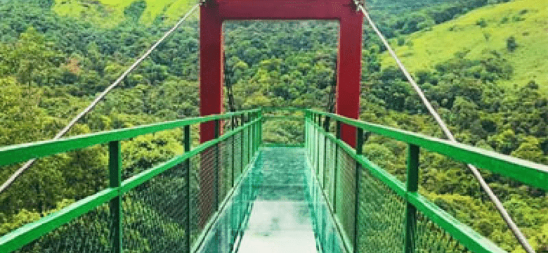 Coimbatore To Wayanad Tour Packages