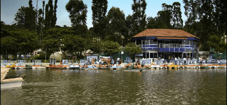 Coimbatore to Yercaud Tour Packages